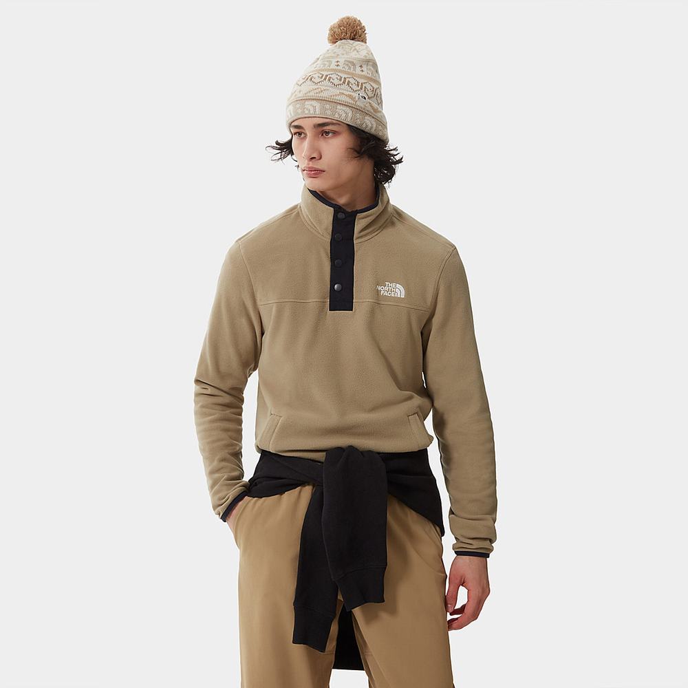 Fleece Mikiny The North Face Homesafe Quarter-Zip Panske Hnede | SYZ-234780