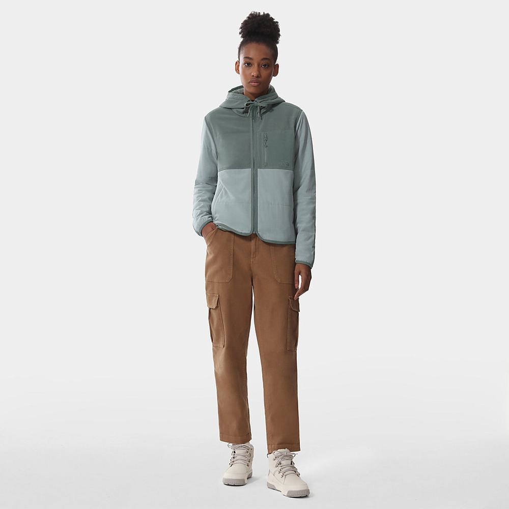 Fleece Mikiny The North Face Mountain Damske Strieborne Modre Zelene | SBQ-371596