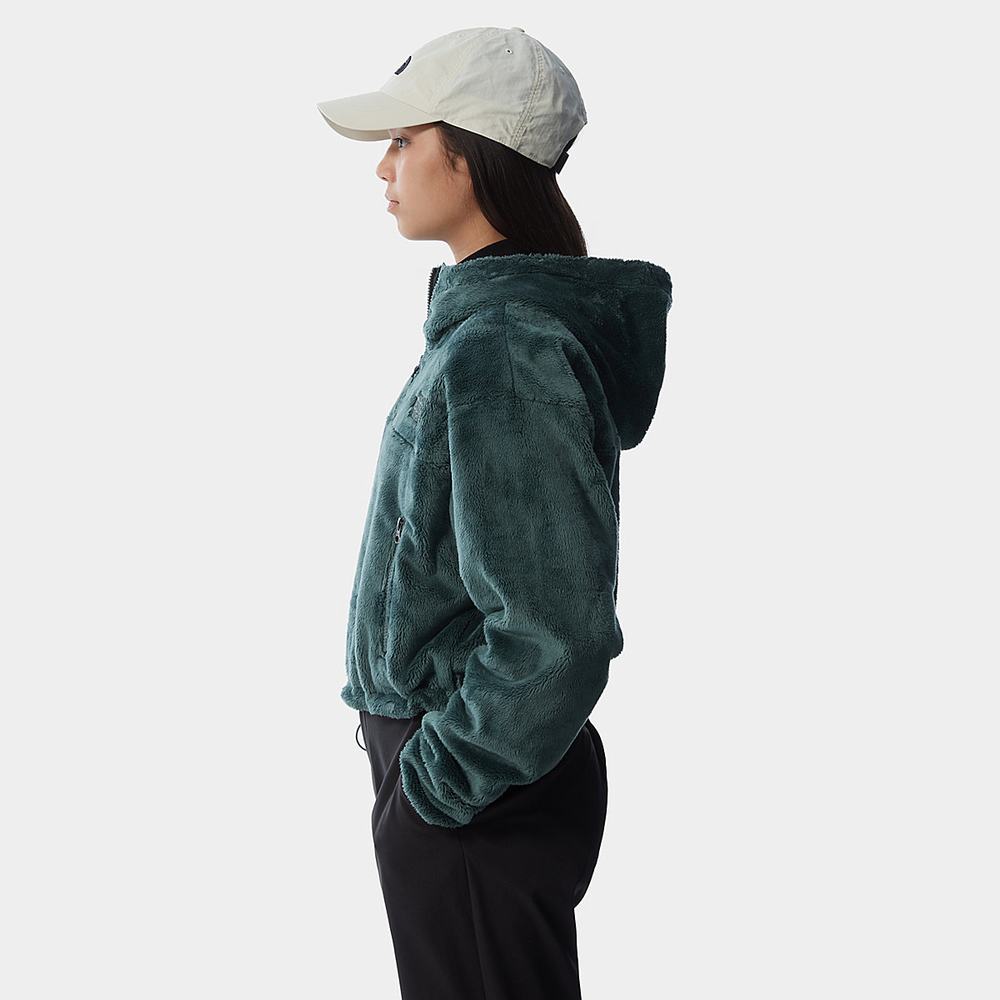 Fleece Mikiny The North Face Osito Cropped Damske Zelene | QMR-418067