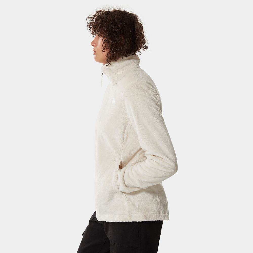 Fleece Mikiny The North Face Osito Damske Biele | OHT-632845