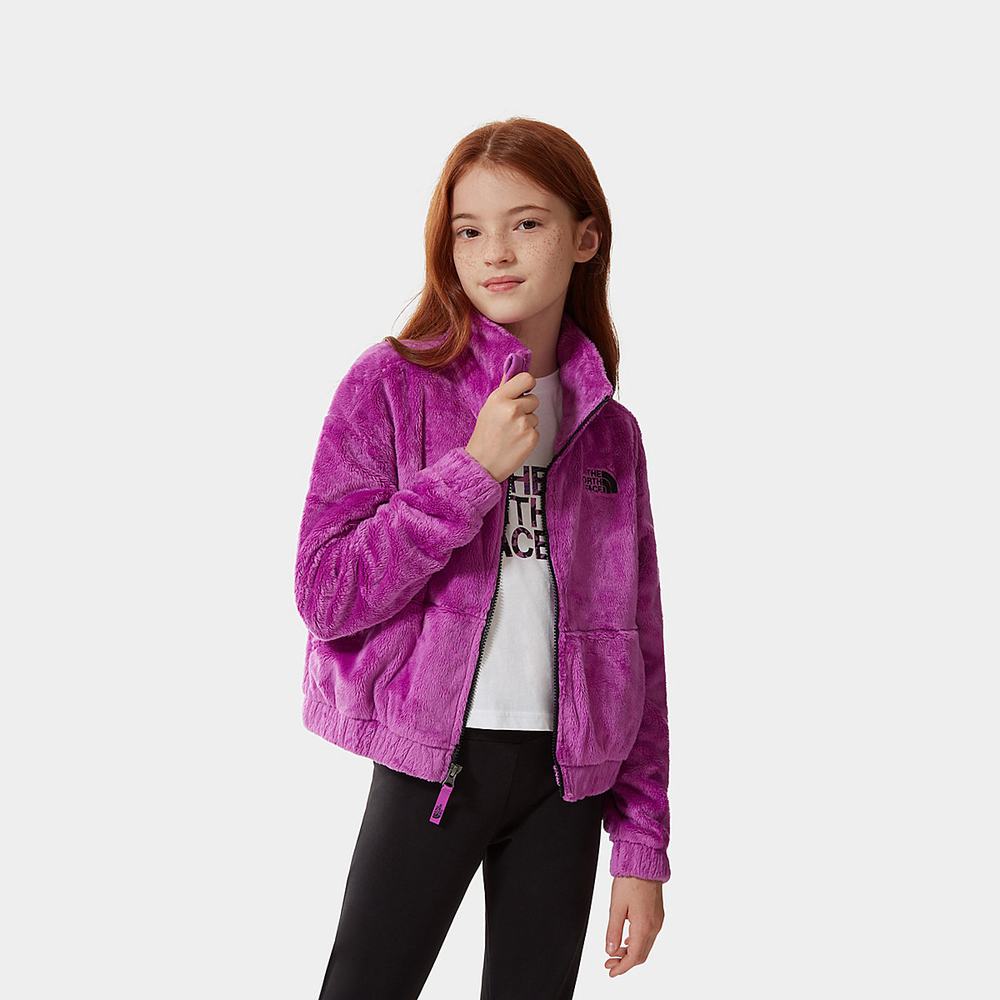 Fleece Mikiny The North Face Osolita Full-Zip Dievcenske Nachový | NFS-025783