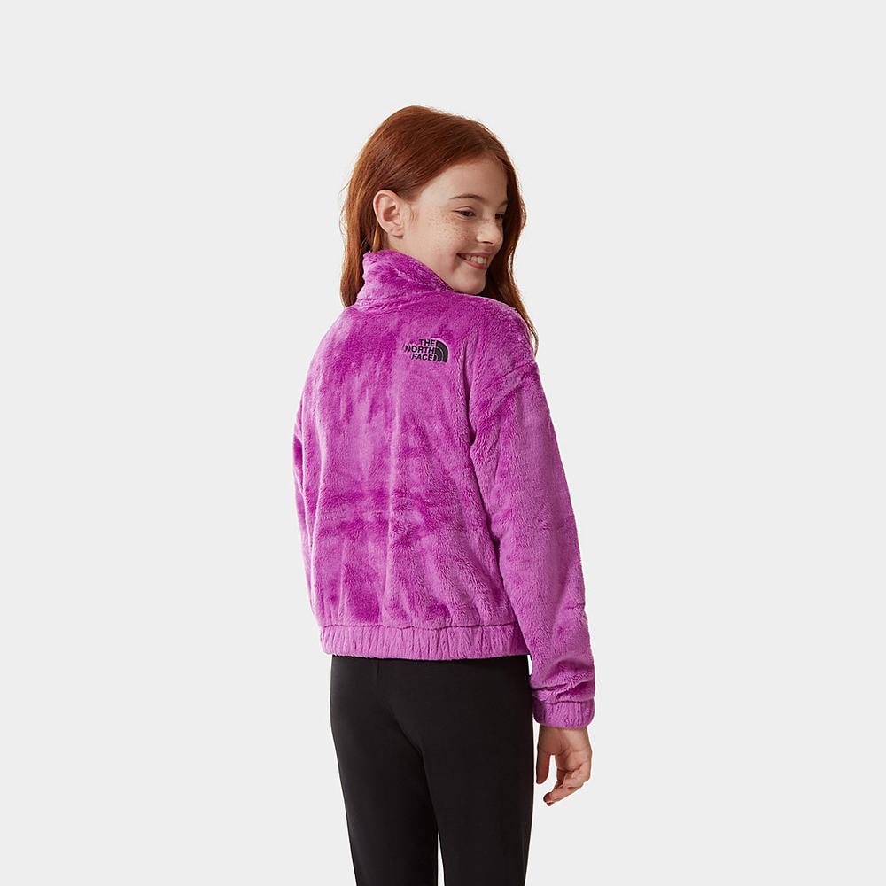 Fleece Mikiny The North Face Osolita Full-Zip Dievcenske Nachový | NFS-025783