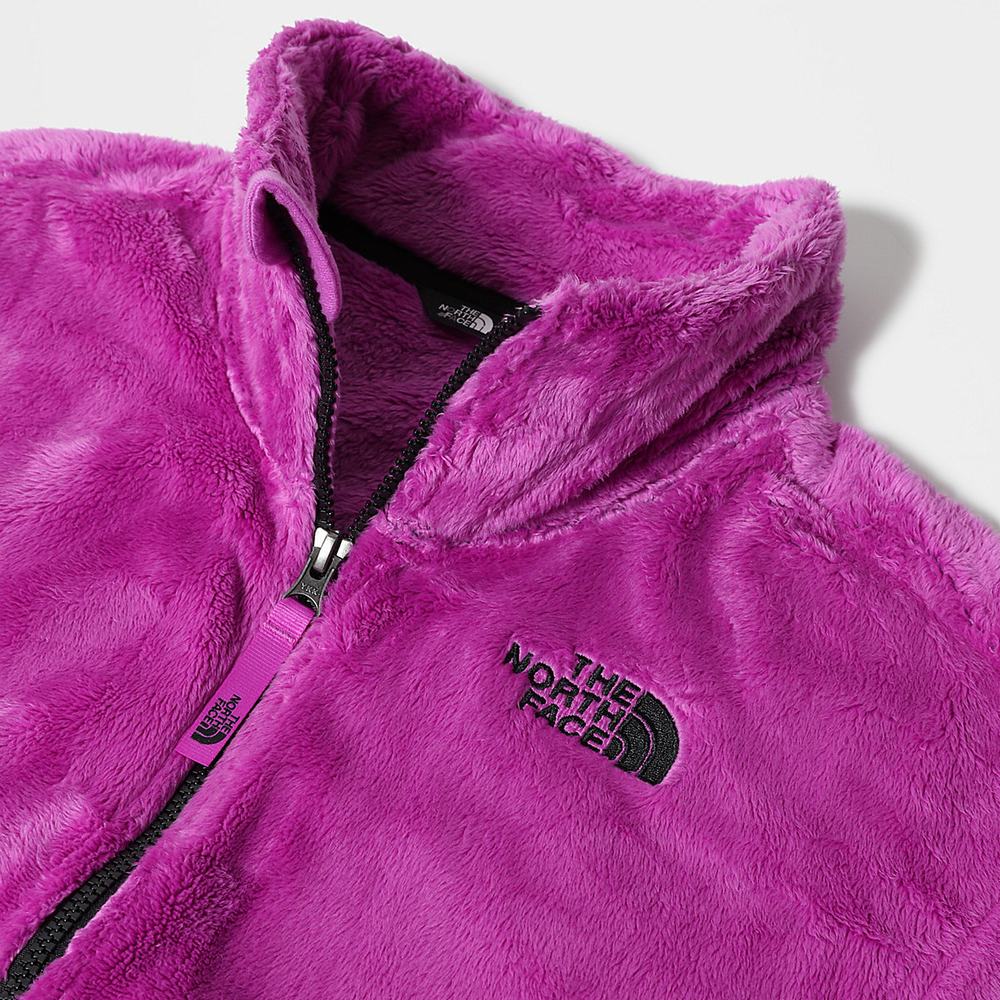 Fleece Mikiny The North Face Osolita Full-Zip Dievcenske Nachový | NFS-025783