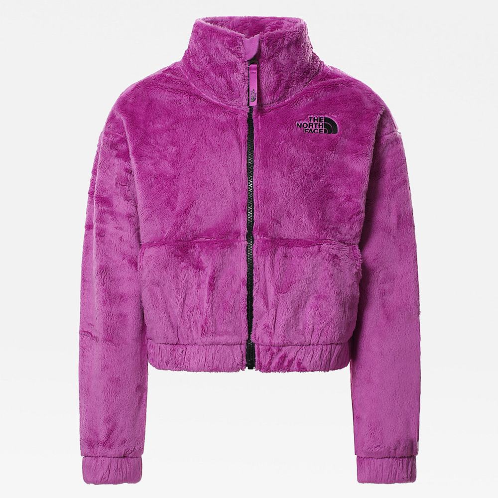 Fleece Mikiny The North Face Osolita Full-Zip Dievcenske Nachový | NFS-025783