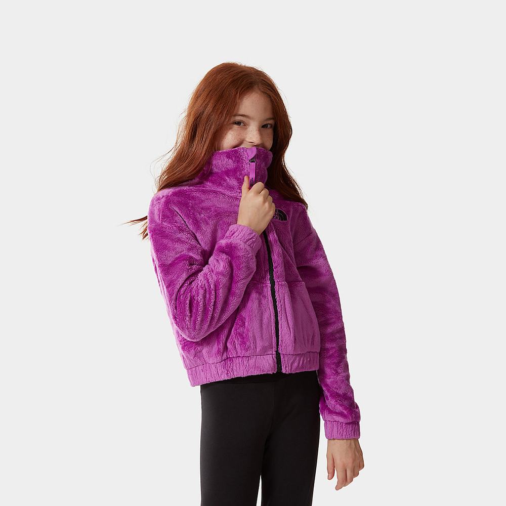 Fleece Mikiny The North Face Osolita Full-Zip Dievcenske Nachový | NFS-025783