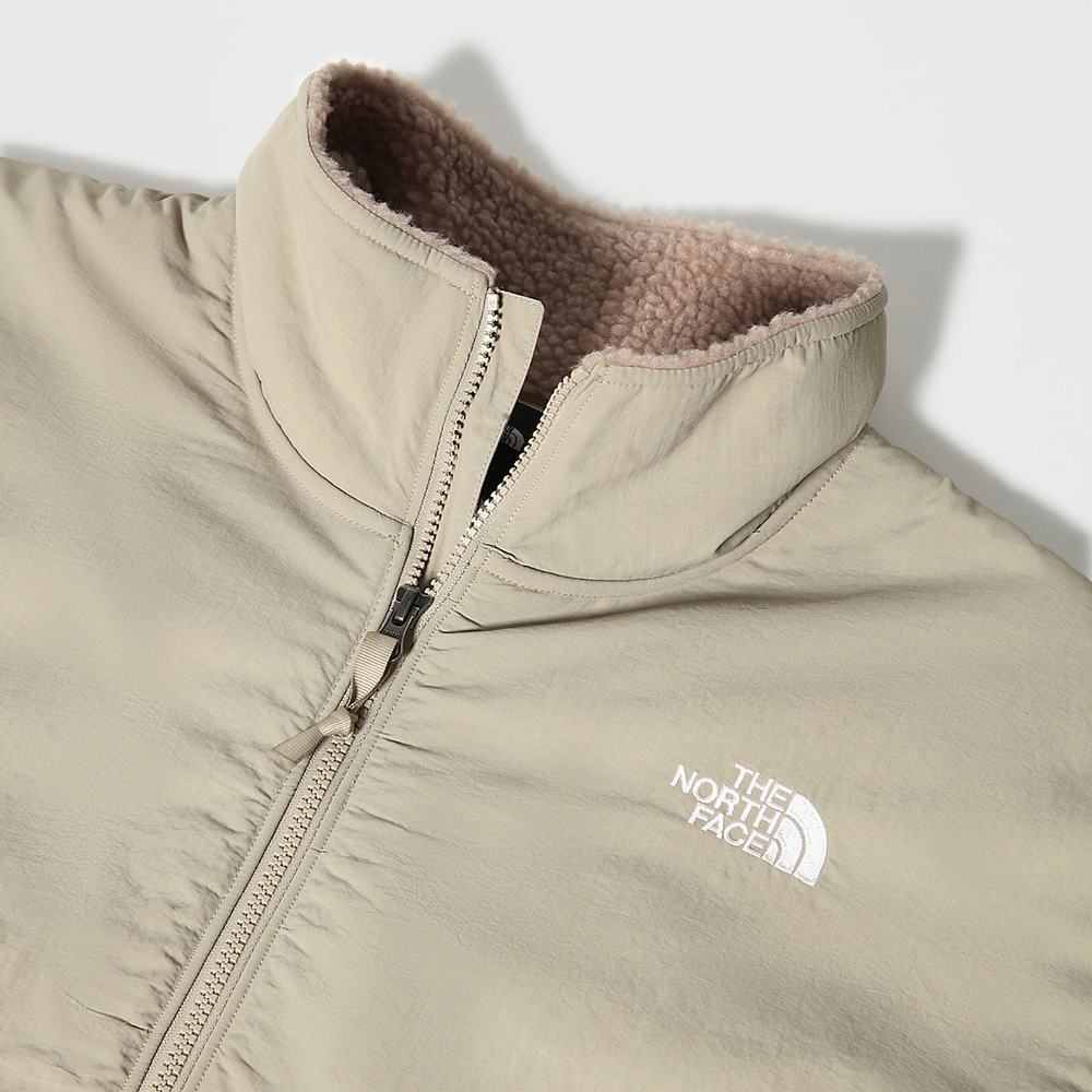 Fleece Mikiny The North Face PLATTE SHERPA ¼ ZIP Panske Svetlo Hnede | FJT-418095