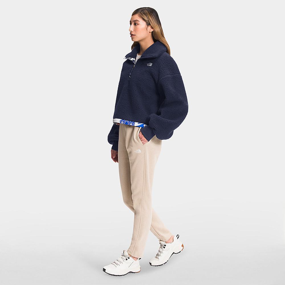 Fleece Mikiny The North Face PRINTED PLATTE SHERPA Damske Modre | CAB-631948