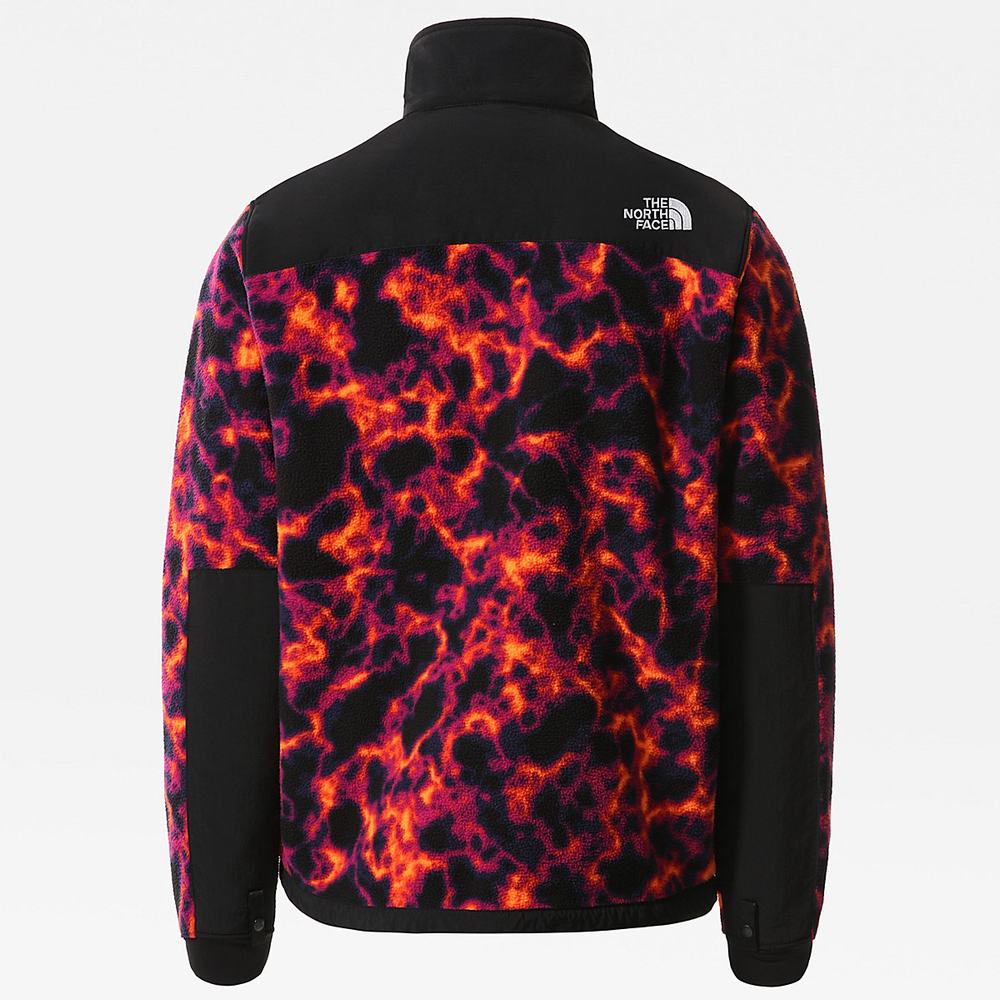 Fleece Mikiny The North Face Printed Denali 2 Panske Zelene | OJQ-892751