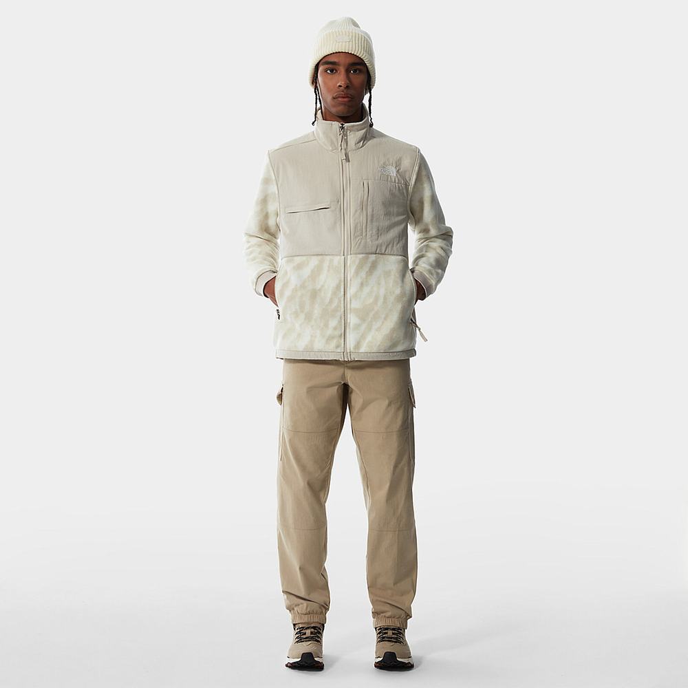 Fleece Mikiny The North Face Printed Denali 2 Panske Strieborne Siva Strieborne Siva | QNZ-457396