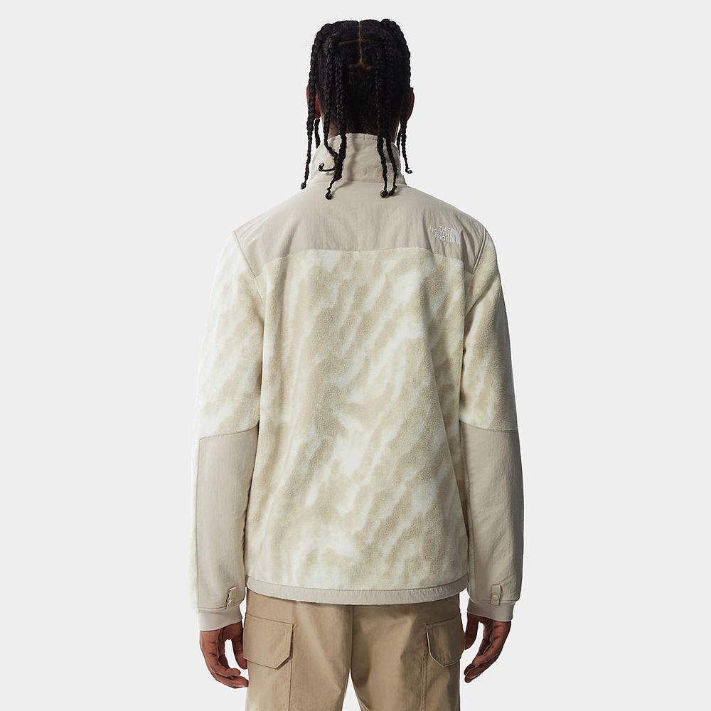 Fleece Mikiny The North Face Printed Denali 2 Panske Strieborne Siva Strieborne Siva | QNZ-457396