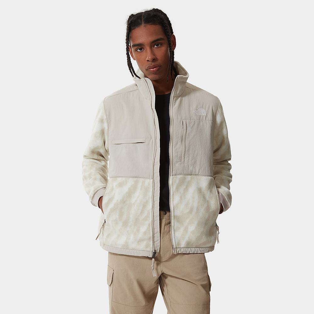 Fleece Mikiny The North Face Printed Denali 2 Panske Strieborne Siva Strieborne Siva | QNZ-457396
