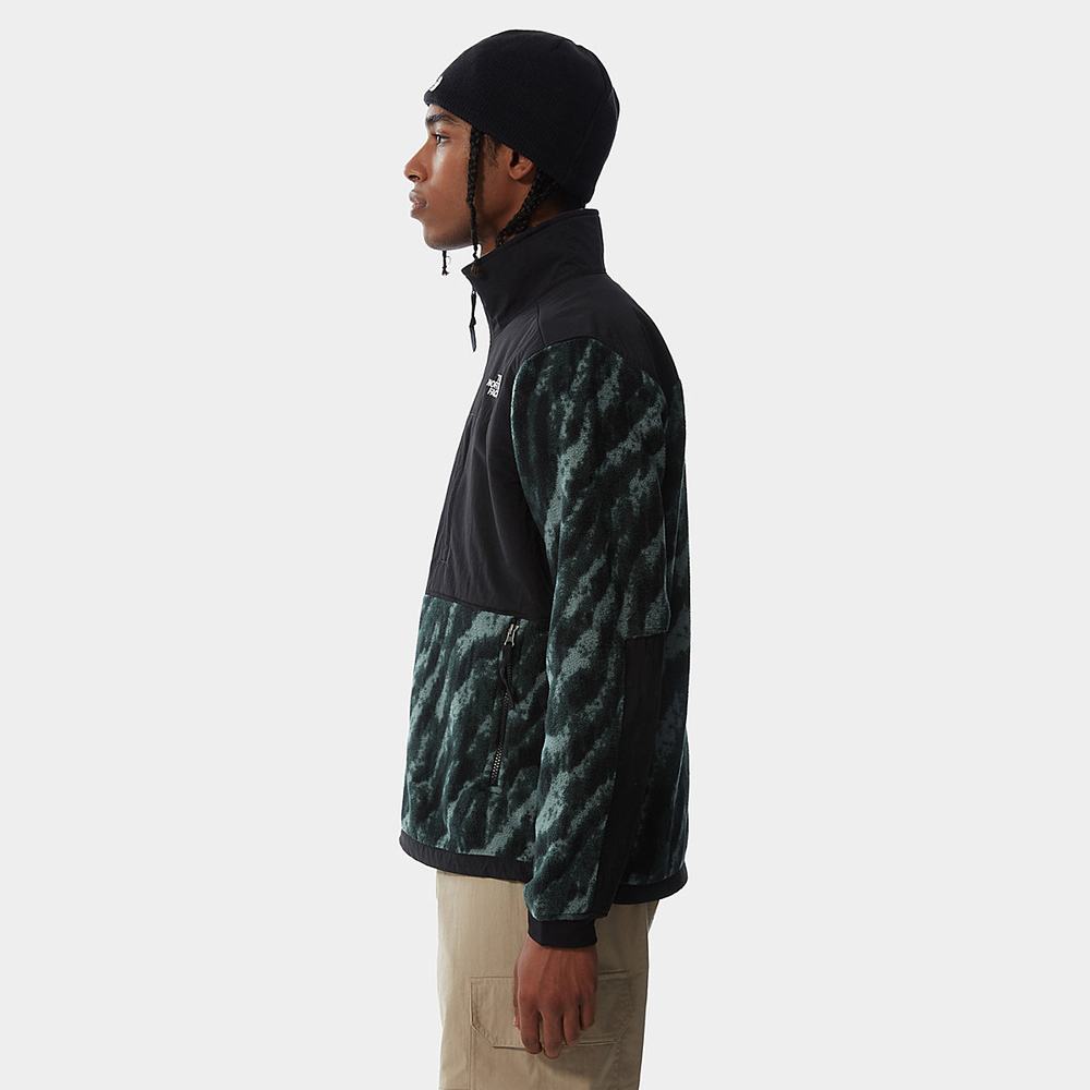 Fleece Mikiny The North Face Printed Denali 2 Panske Zelene | WSX-240813
