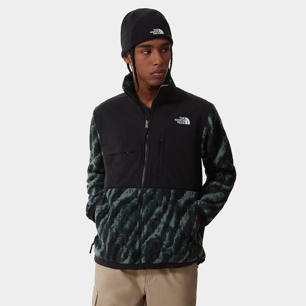 Fleece Mikiny The North Face Printed Denali 2 Panske Zelene | WSX-240813