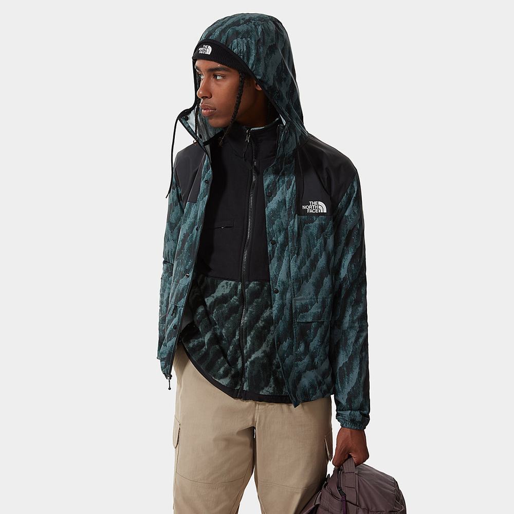 Fleece Mikiny The North Face Printed Denali 2 Panske Zelene | WSX-240813