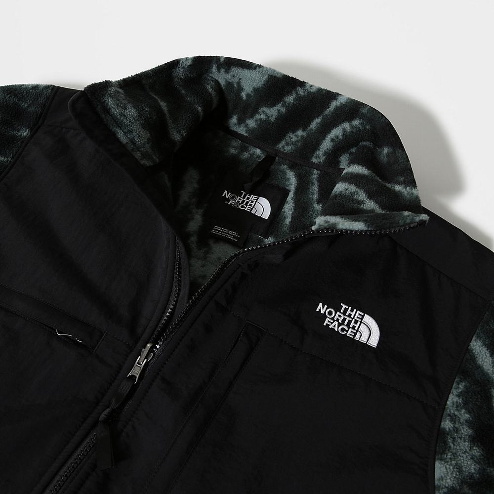 Fleece Mikiny The North Face Printed Denali 2 Panske Zelene | WSX-240813