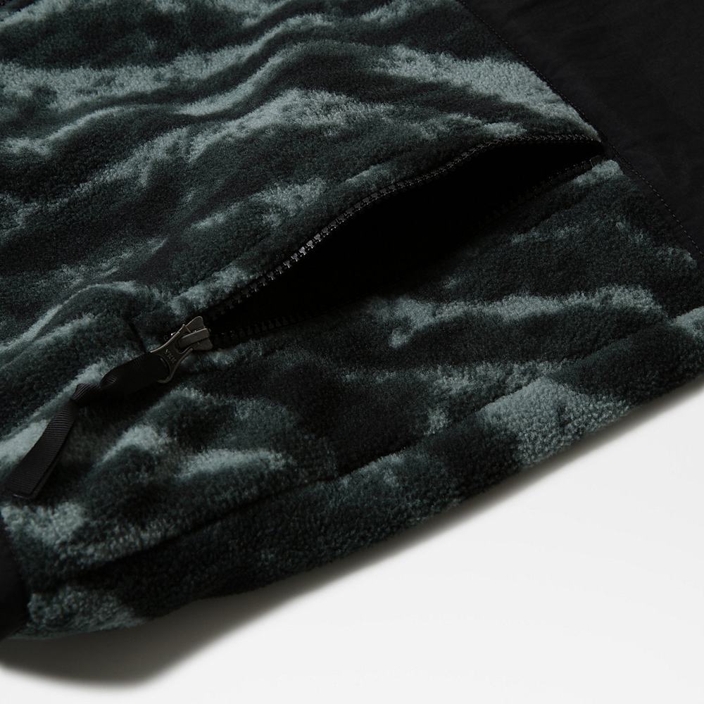 Fleece Mikiny The North Face Printed Denali 2 Panske Zelene | WSX-240813