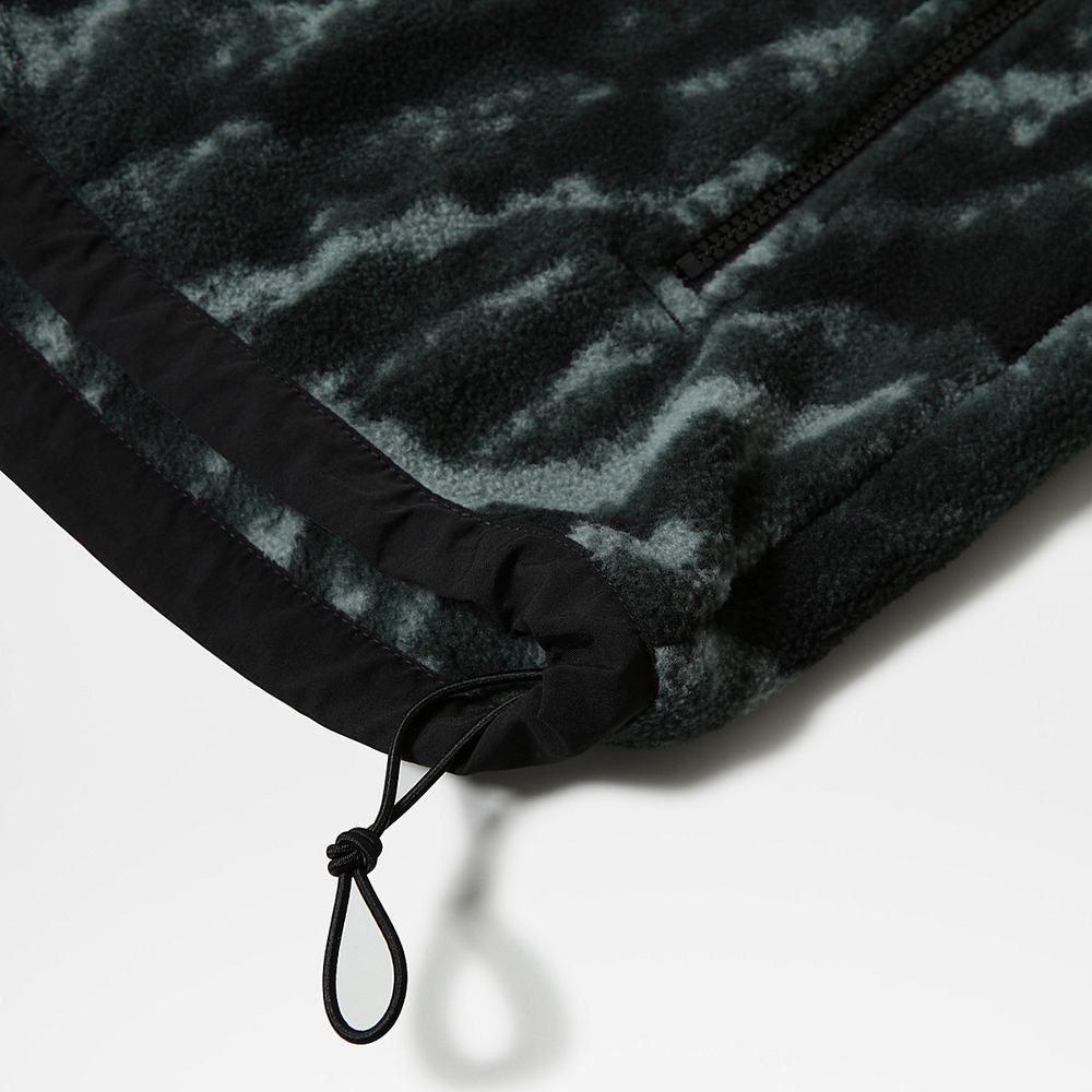 Fleece Mikiny The North Face Printed Denali 2 Panske Zelene | WSX-240813