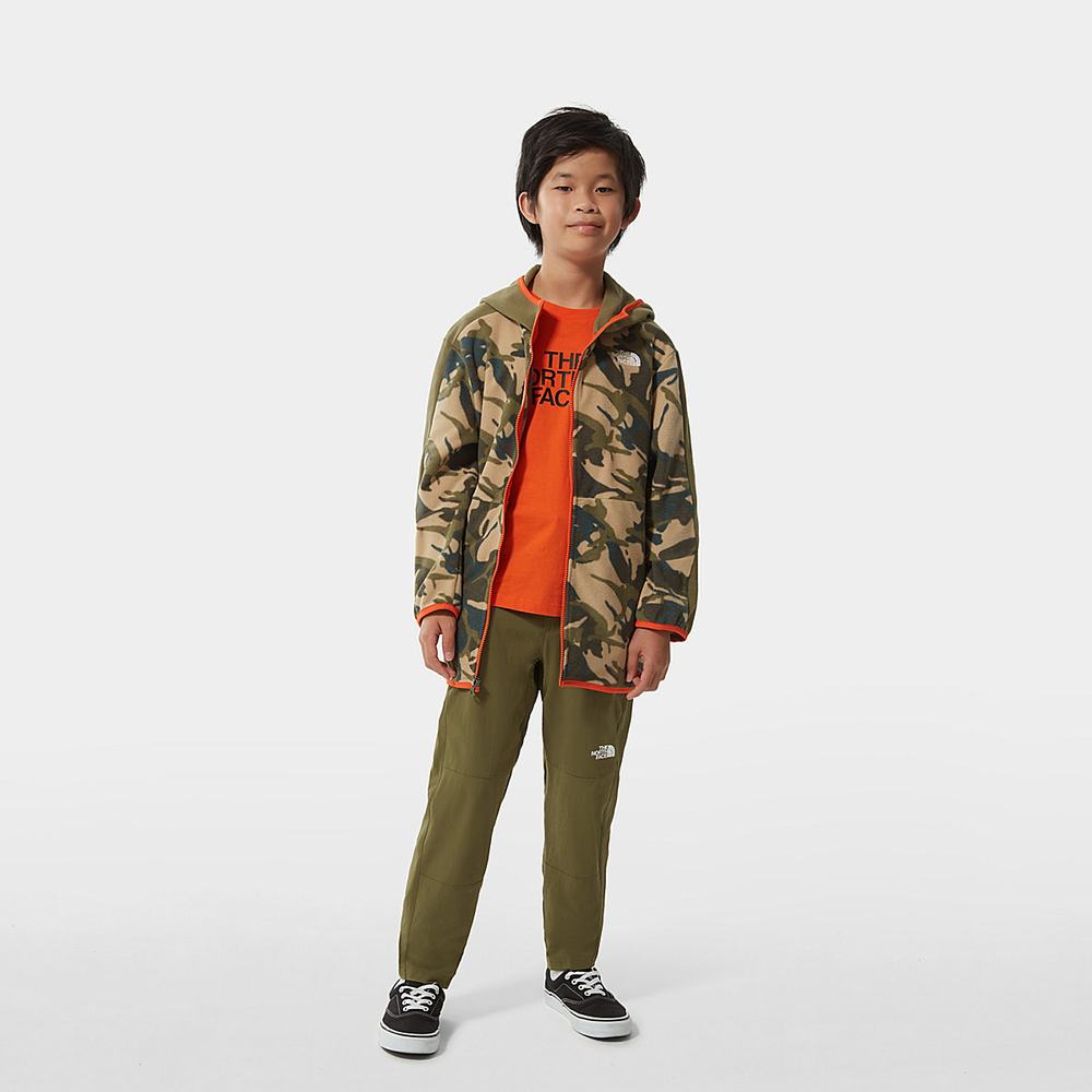 Fleece Mikiny The North Face Printed Glacier Full-Zip Chlapcenske Maskacove | RTL-035641
