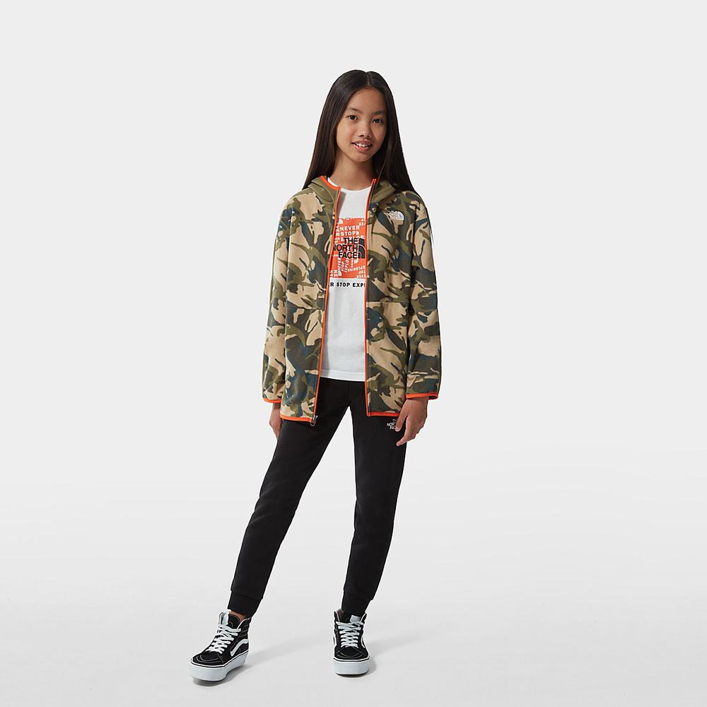 Fleece Mikiny The North Face Printed Glacier Full-Zip Chlapcenske Maskacove | RTL-035641