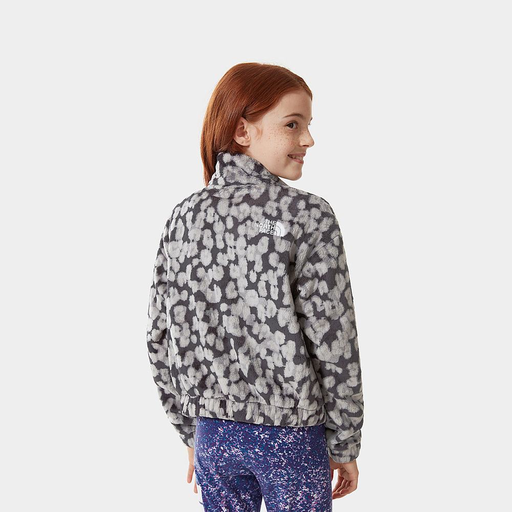 Fleece Mikiny The North Face Printed Osolita Dievcenske Siva Leopardie | GUJ-523471