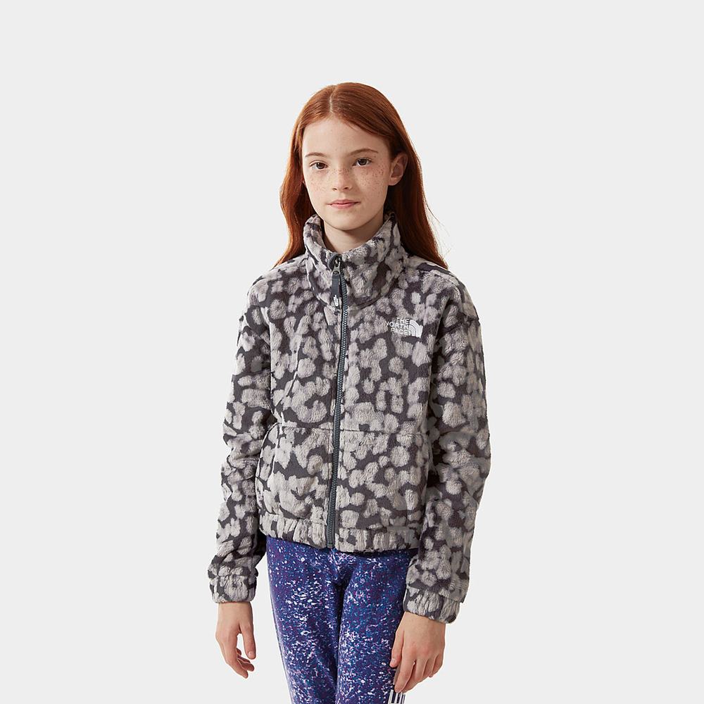 Fleece Mikiny The North Face Printed Osolita Dievcenske Siva Leopardie | GUJ-523471