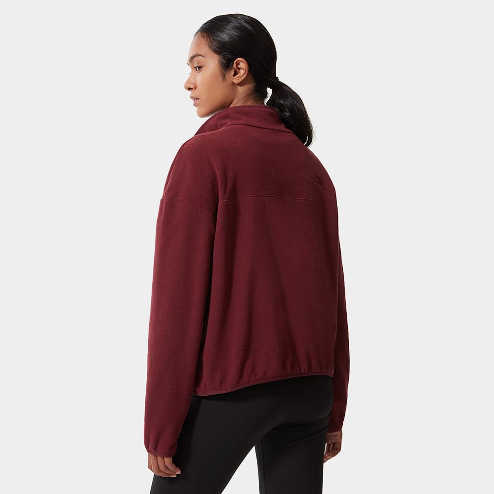 Fleece Mikiny The North Face TKA Glacier Cropped Damske Červené | PVF-250193