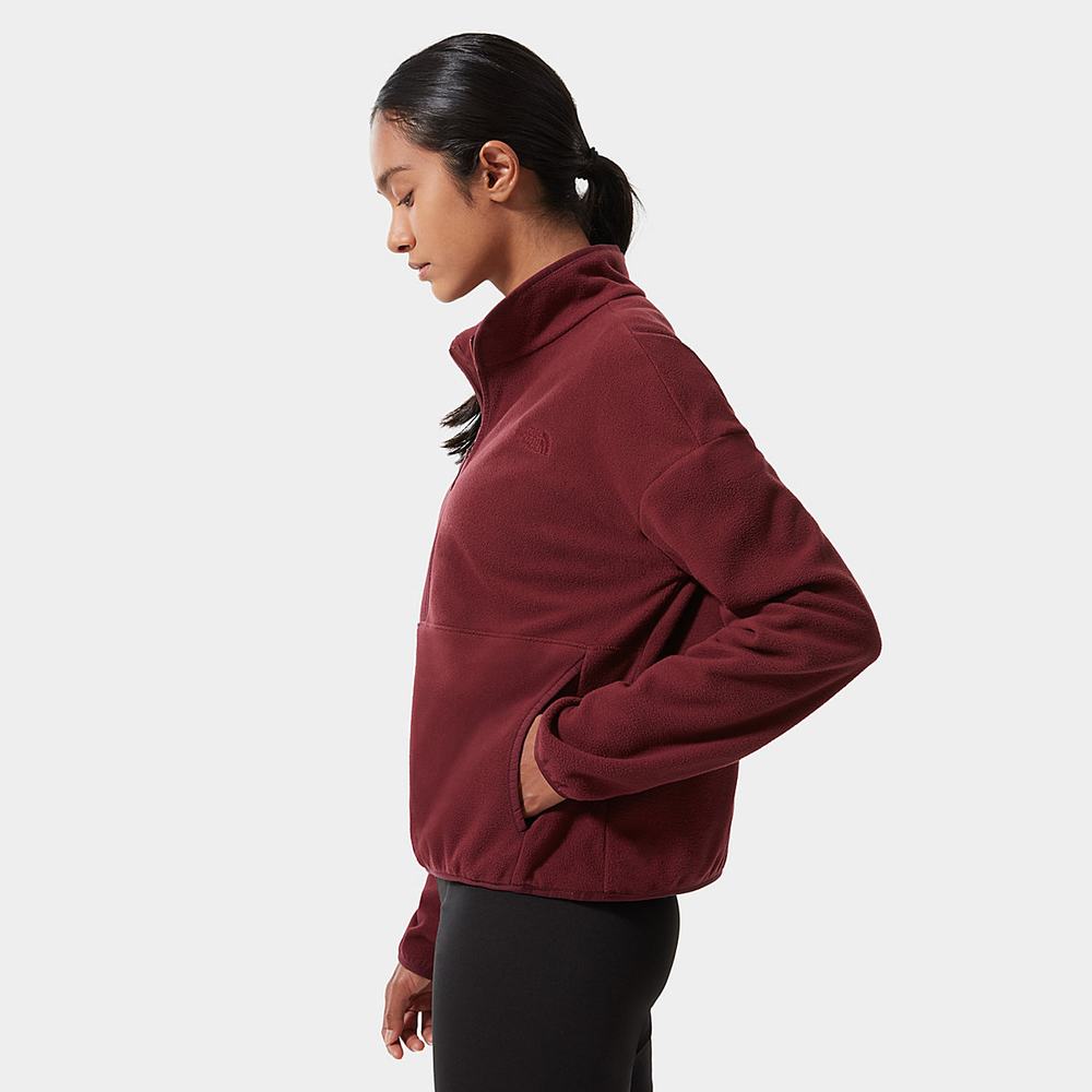 Fleece Mikiny The North Face TKA Glacier Cropped Damske Červené | PVF-250193