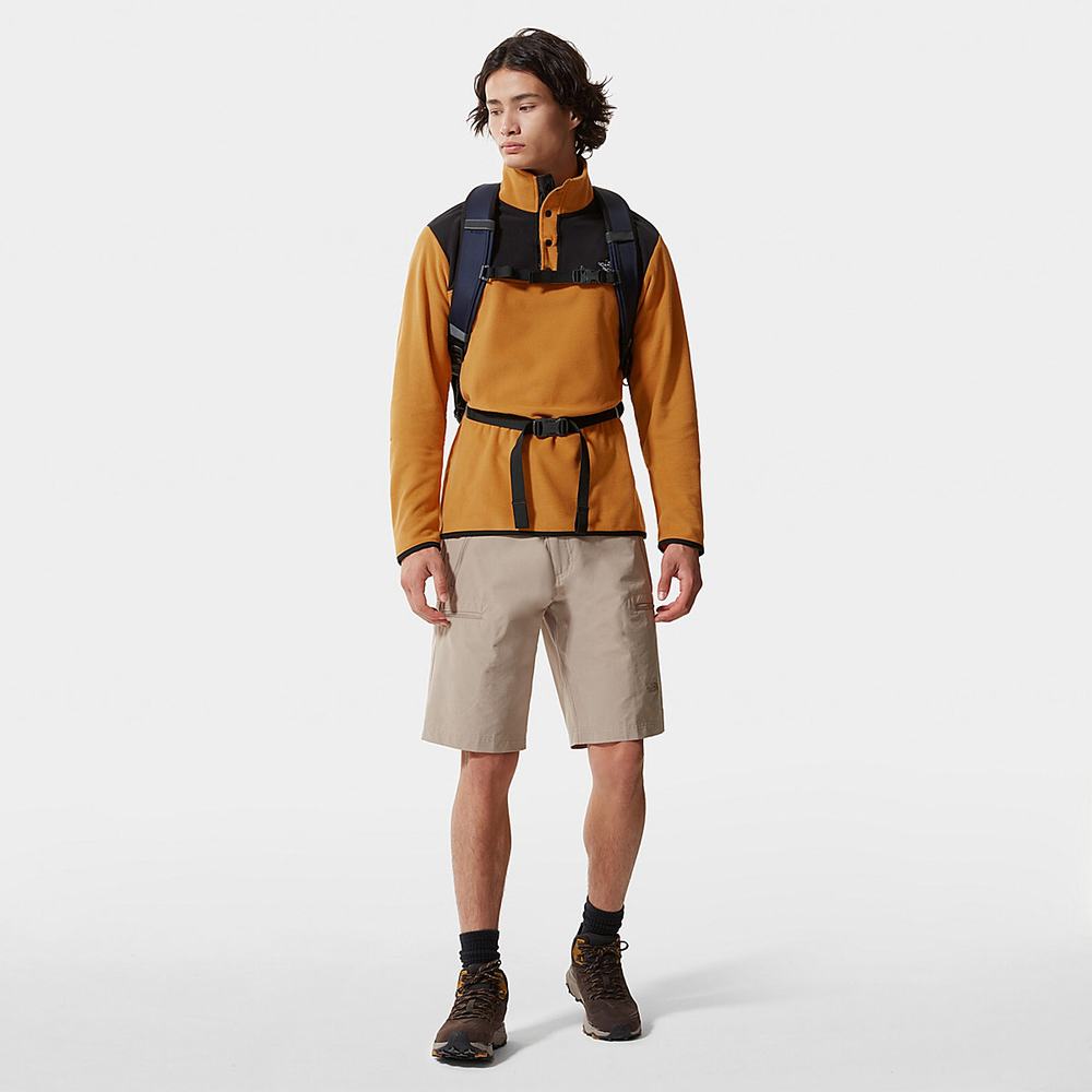 Fleece Mikiny The North Face TKA Glacier Snap-Neck Panske Žlté Čierne | YRX-016953
