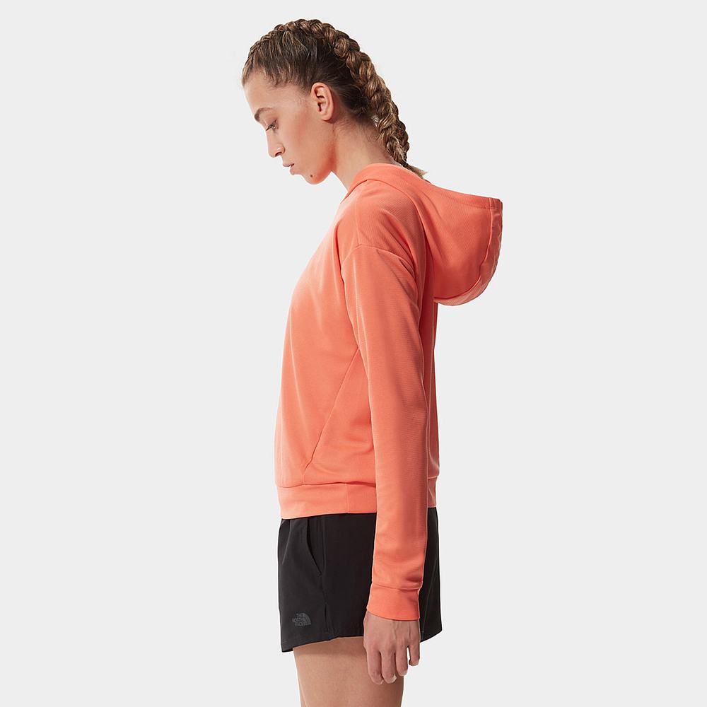Fleece Mikiny The North Face Wander Damske Oranžové | CSP-129805