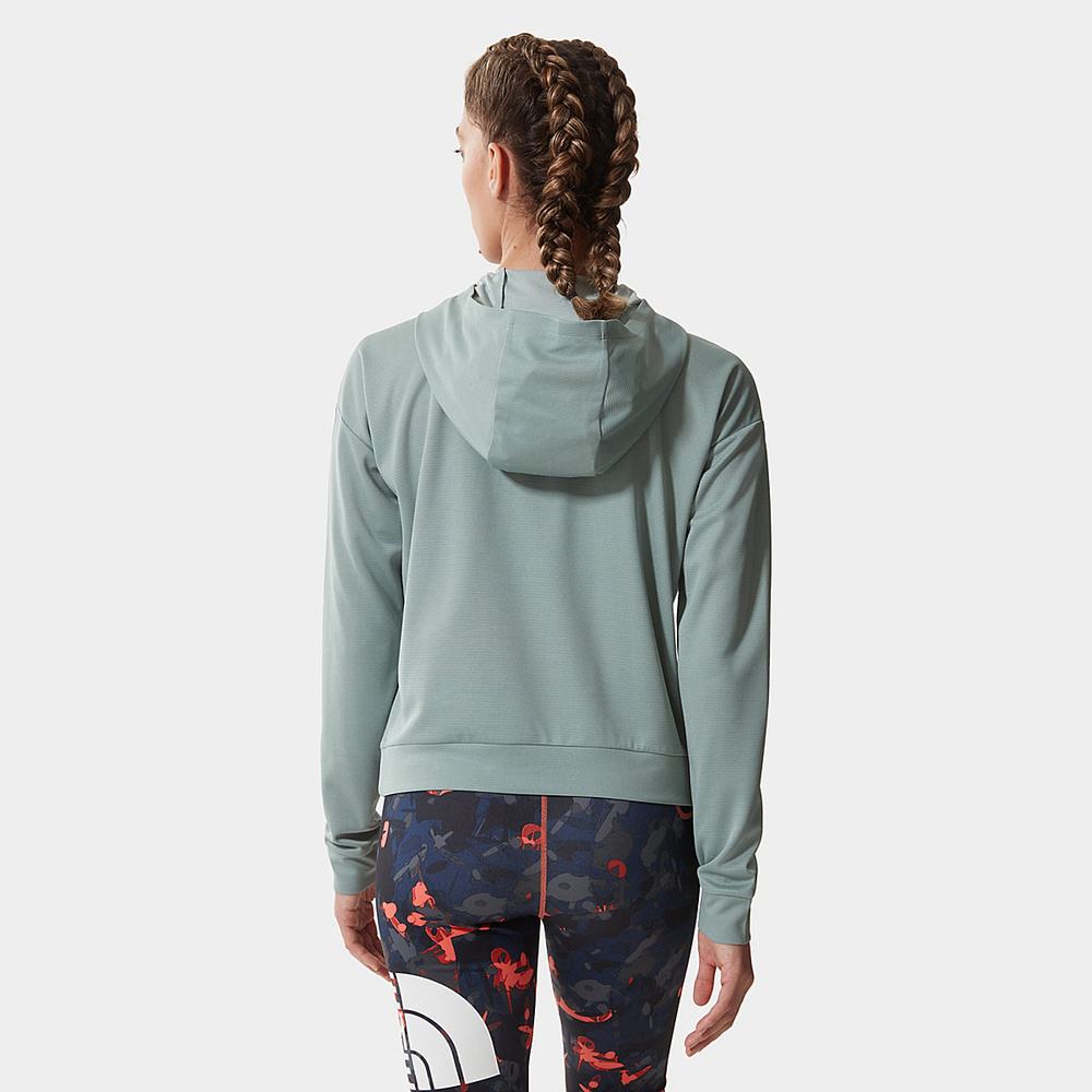 Fleece Mikiny The North Face Wander Damske Strieborne Modre | QJR-190362