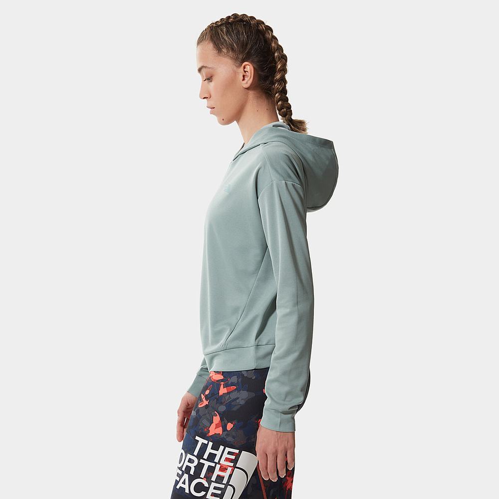 Fleece Mikiny The North Face Wander Damske Strieborne Modre | QJR-190362