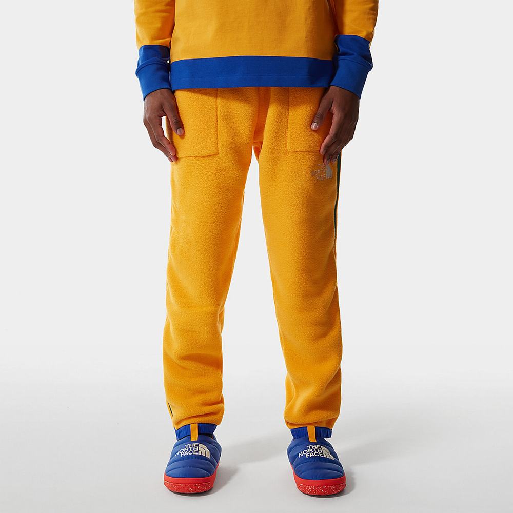 Jogger Nohavice The North Face COLOUR BLOCK FLEECE Panske Zlate Modre Zelene | NUV-194385