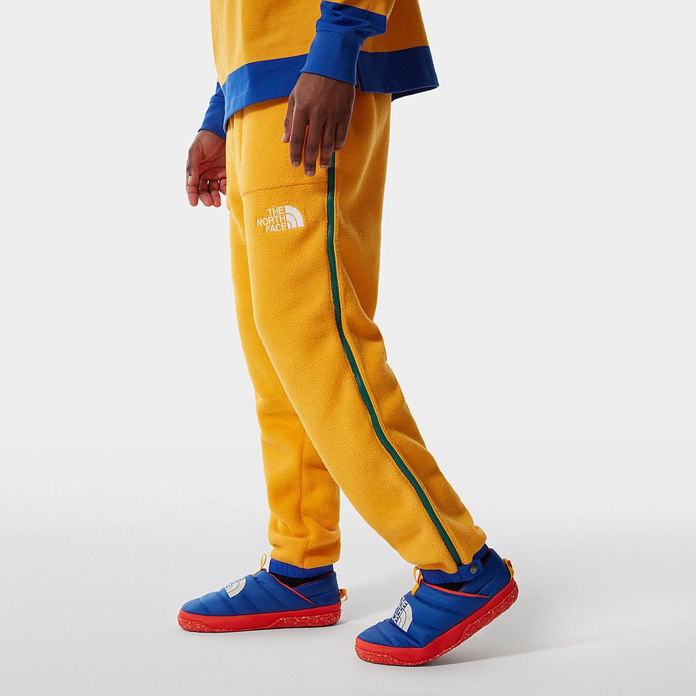 Jogger Nohavice The North Face COLOUR BLOCK FLEECE Panske Zlate Modre Zelene | NUV-194385