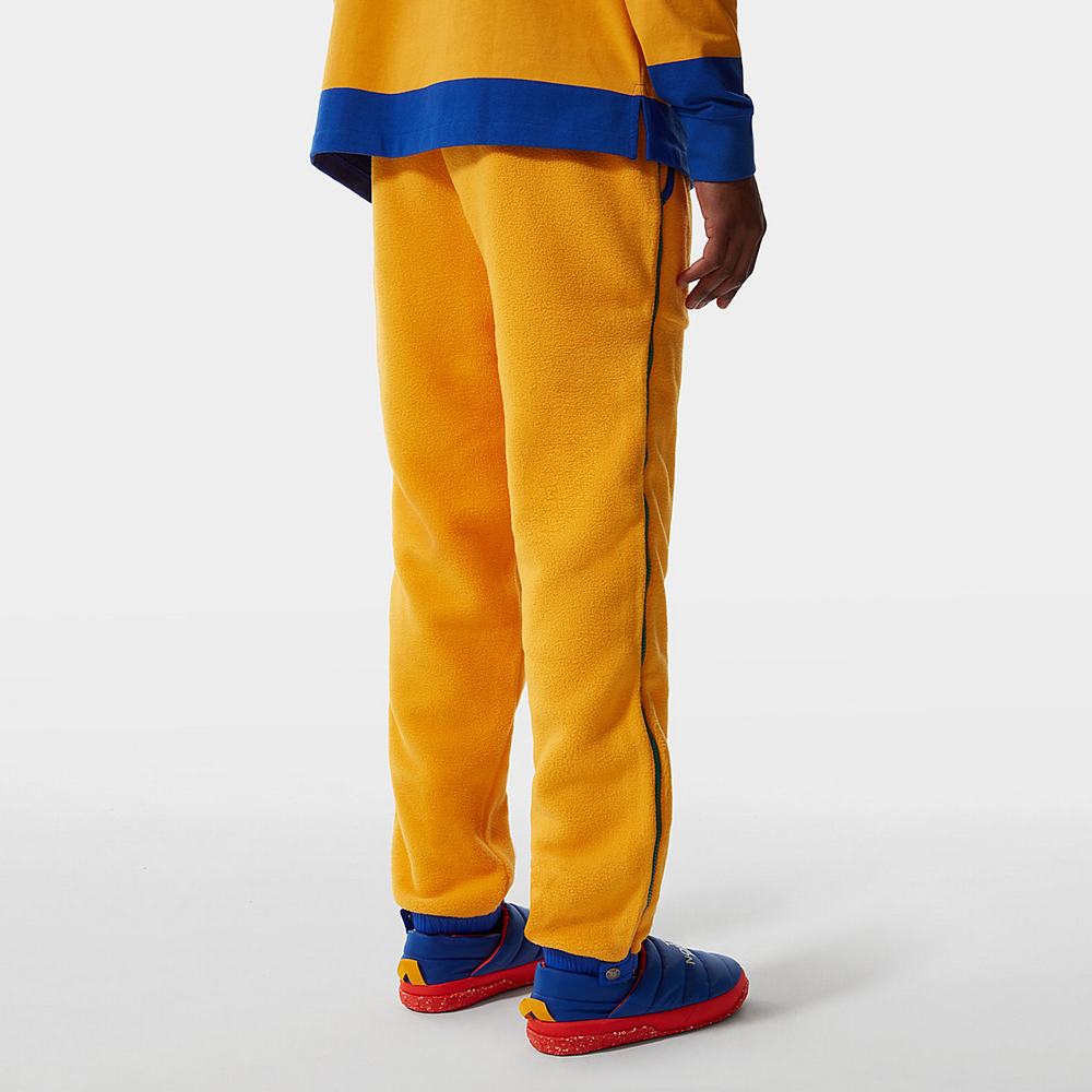 Jogger Nohavice The North Face COLOUR BLOCK FLEECE Panske Zlate Modre Zelene | NUV-194385
