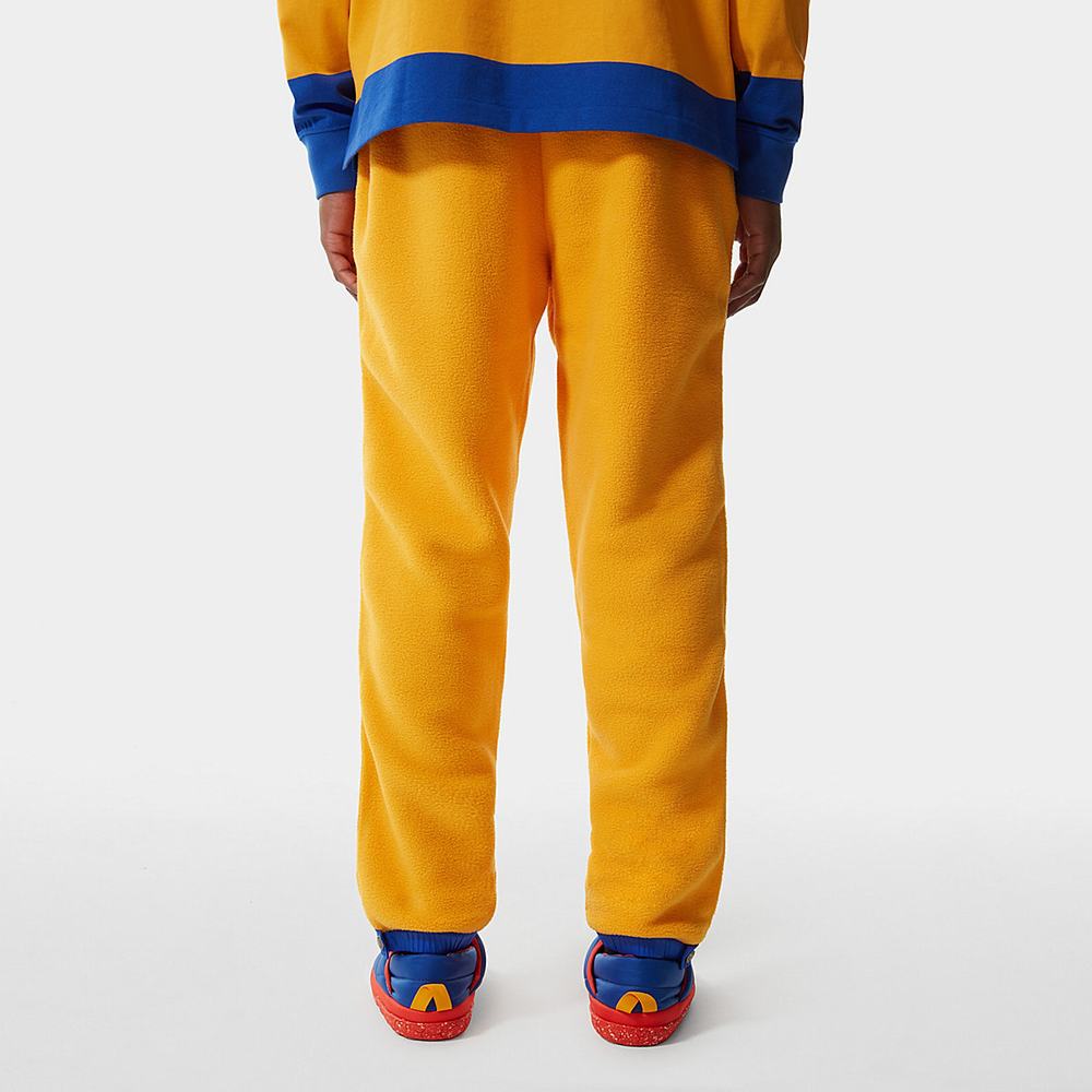 Jogger Nohavice The North Face COLOUR BLOCK FLEECE Panske Zlate Modre Zelene | NUV-194385