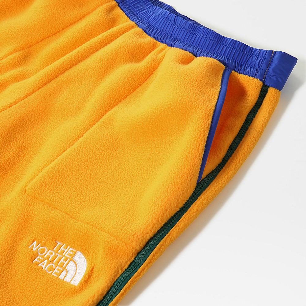 Jogger Nohavice The North Face COLOUR BLOCK FLEECE Panske Zlate Modre Zelene | NUV-194385