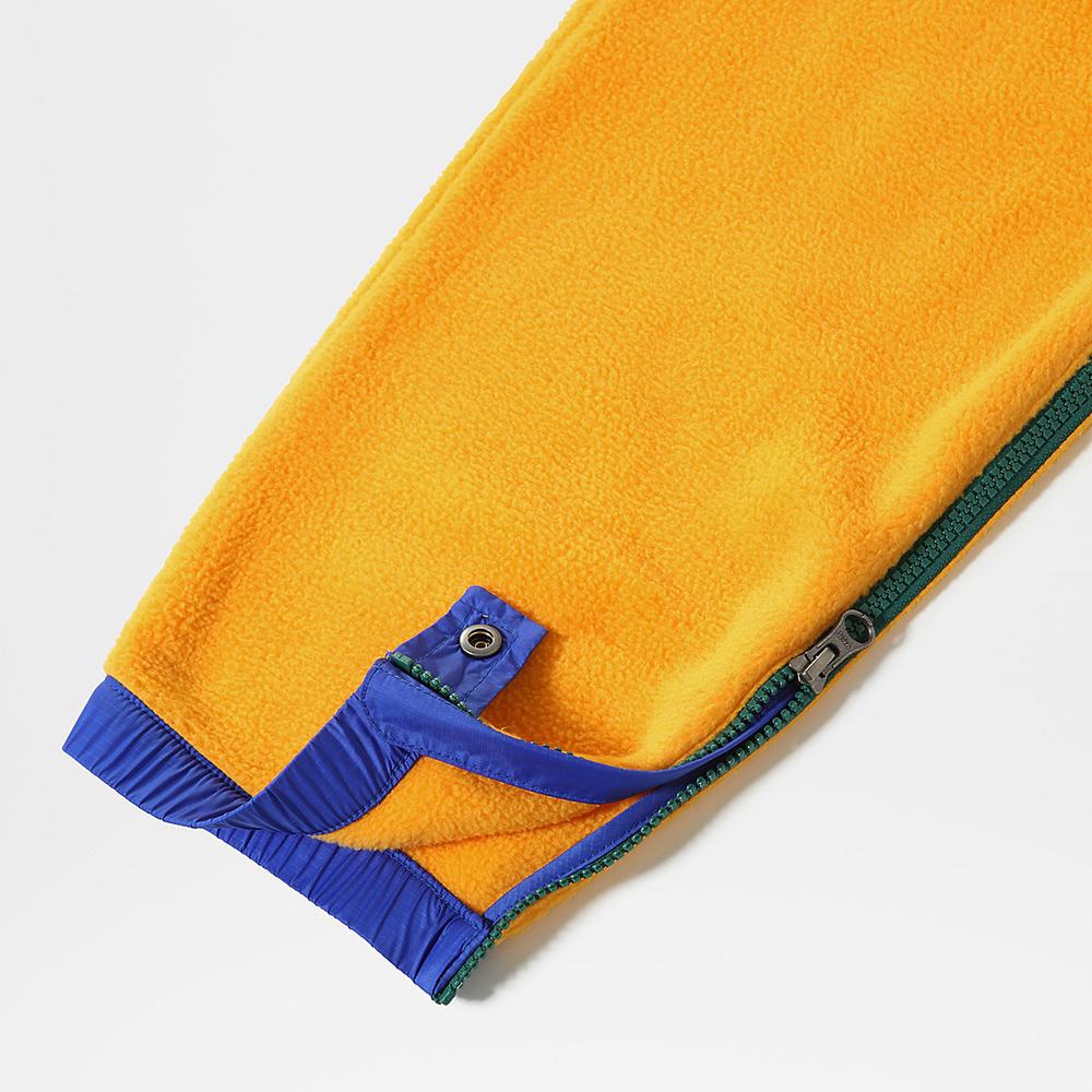 Jogger Nohavice The North Face COLOUR BLOCK FLEECE Panske Zlate Modre Zelene | NUV-194385