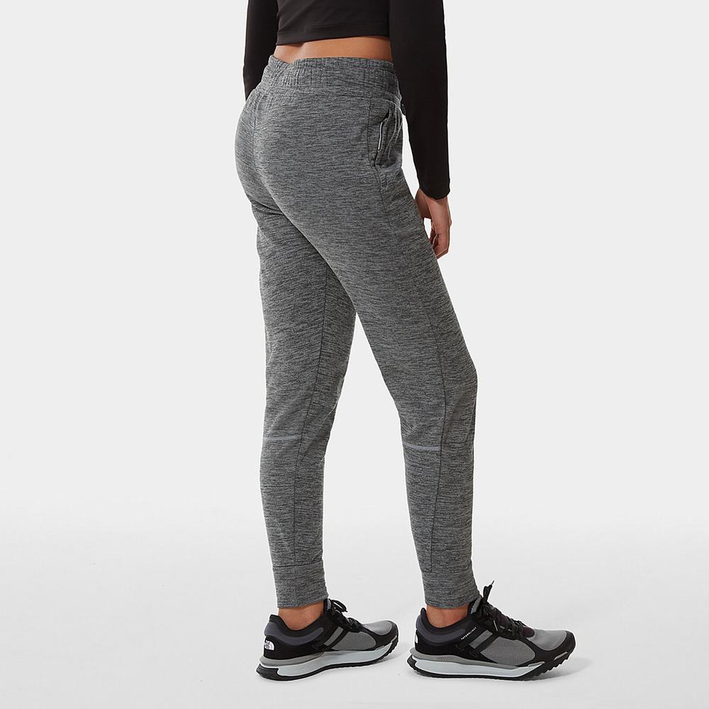 Jogger Nohavice The North Face Canyonlands Damske Siva | ZIA-092745