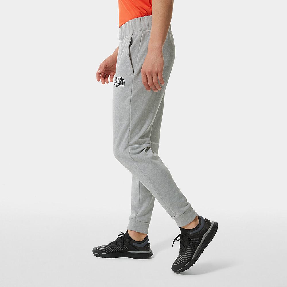 Jogger Nohavice The North Face Exploration Panske Svetlo Siva | RWF-297341