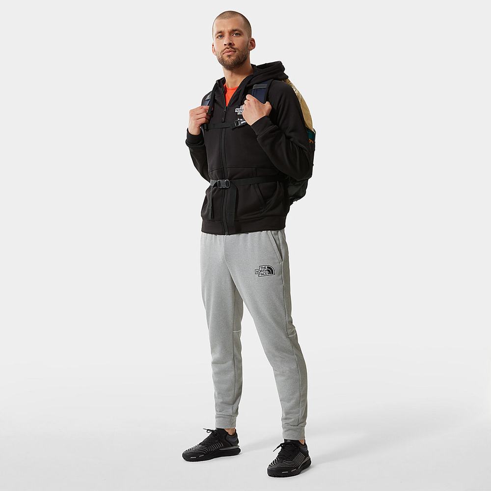 Jogger Nohavice The North Face Exploration Panske Svetlo Siva | RWF-297341