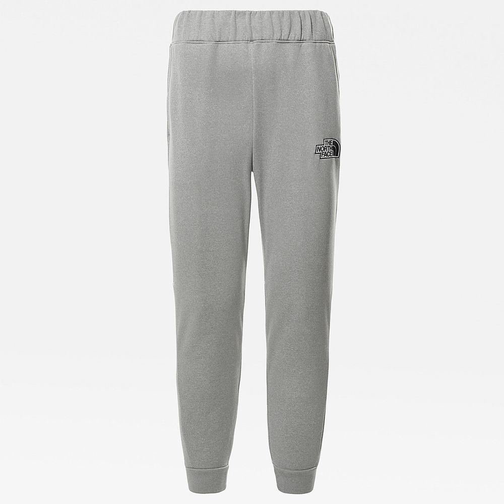 Jogger Nohavice The North Face Exploration Panske Svetlo Siva | RWF-297341