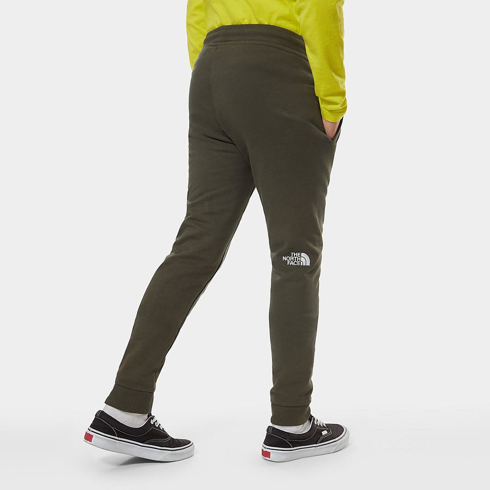 Jogger Nohavice The North Face Fleece Chlapcenske Zelene Biele | FNT-635189