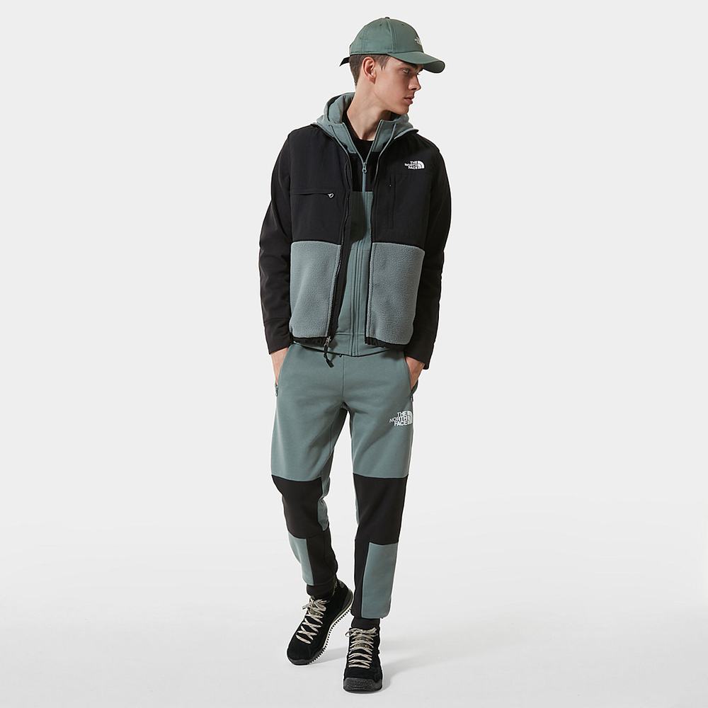 Jogger Nohavice The North Face Himalayan Panske Zelene | RSE-936572