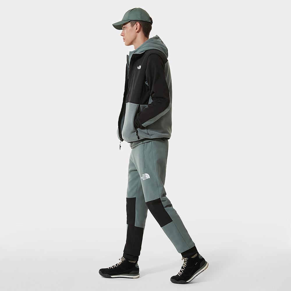 Jogger Nohavice The North Face Himalayan Panske Zelene | RSE-936572