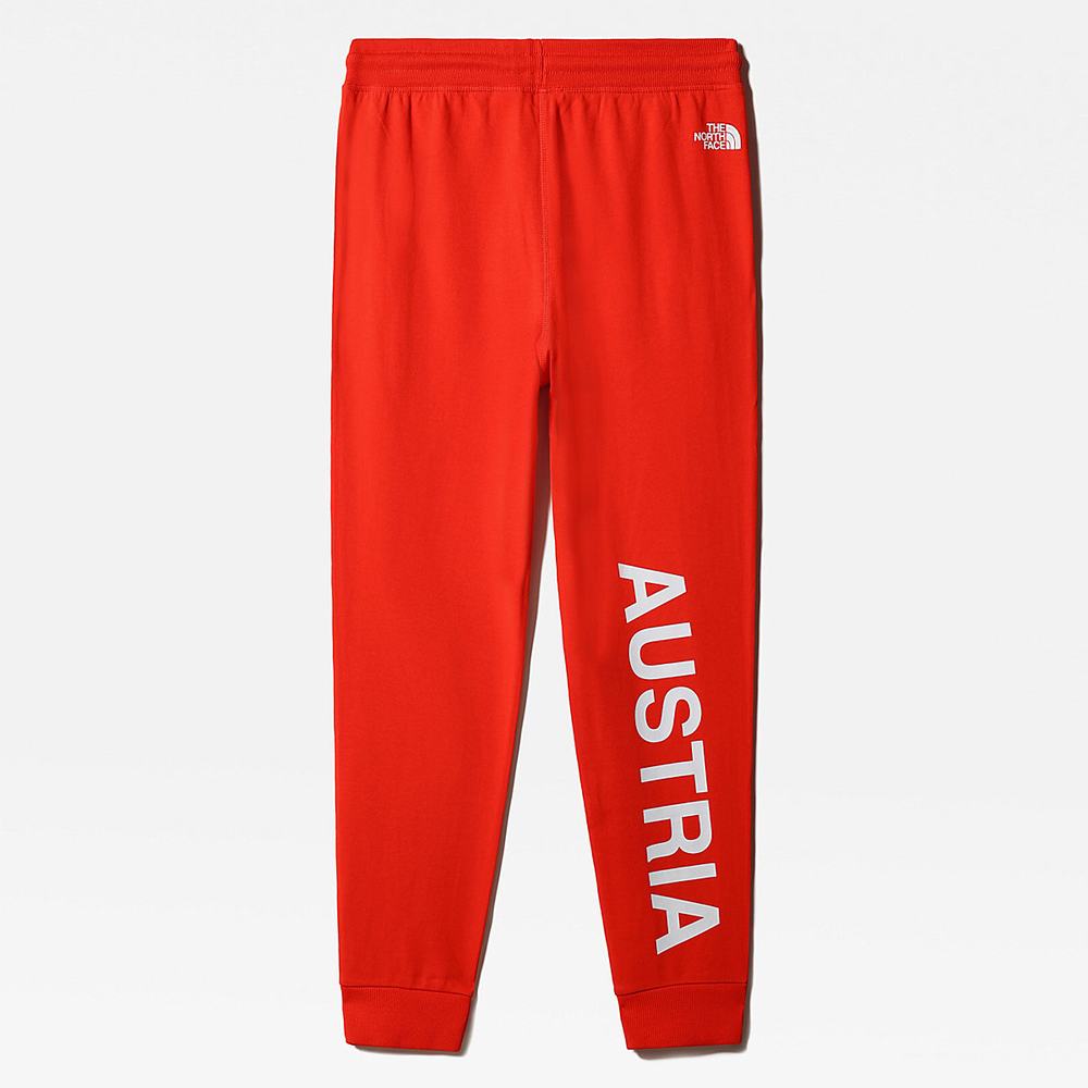 Jogger Nohavice The North Face INTERNATIONAL COLLECTION JOGGERS Panske Červené | HEC-912605