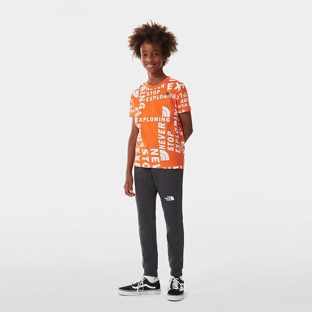 Jogger Nohavice The North Face SLACKER Chlapcenske Siva | AUZ-610587