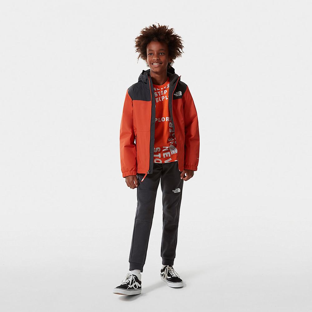 Jogger Nohavice The North Face SLACKER Chlapcenske Siva | AUZ-610587