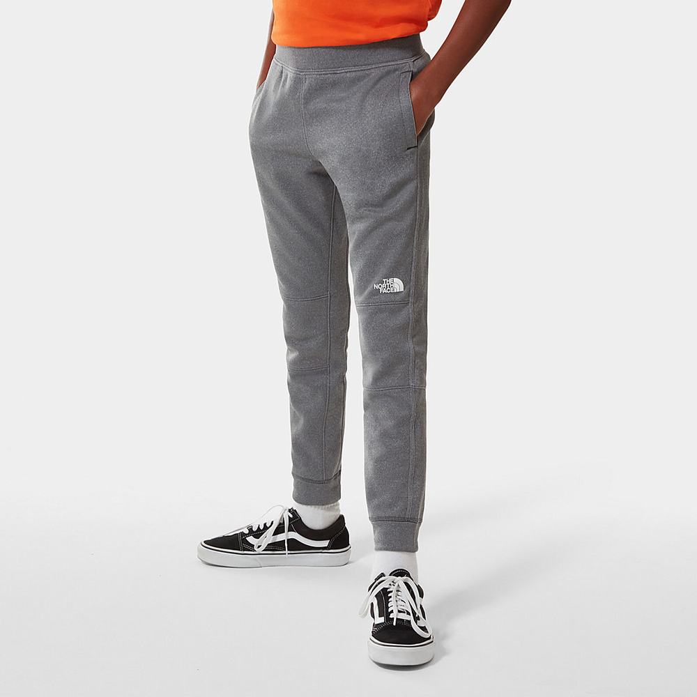 Jogger Nohavice The North Face SURGENT JOGGERS Chlapcenske Siva | NPL-079428