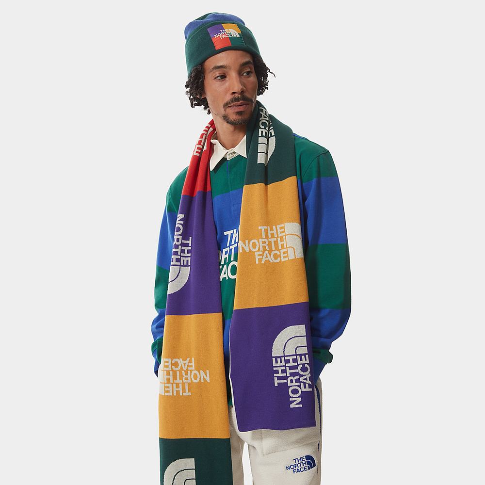 Kosele The North Face Colour Block Rugby Panske Zelene Modre | AIF-180627