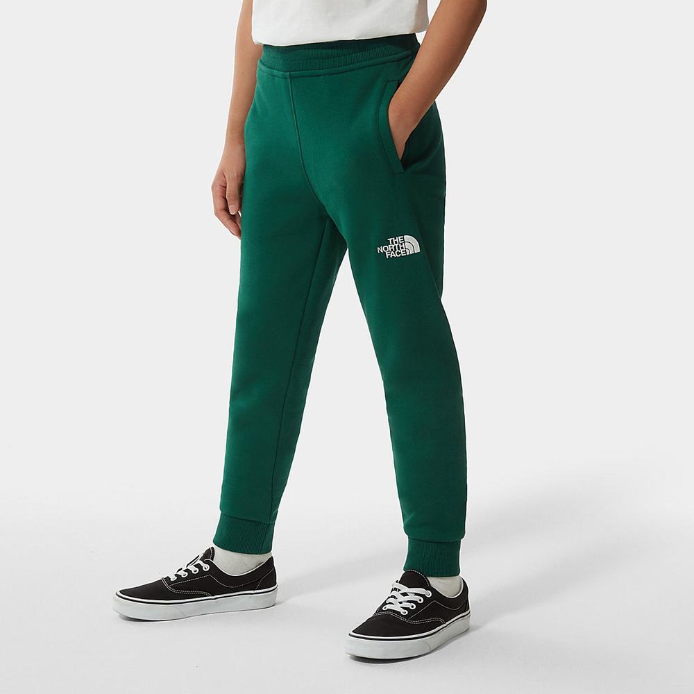 Leginy The North Face Fleece Dievcenske Zelene Biele | LVY-014576